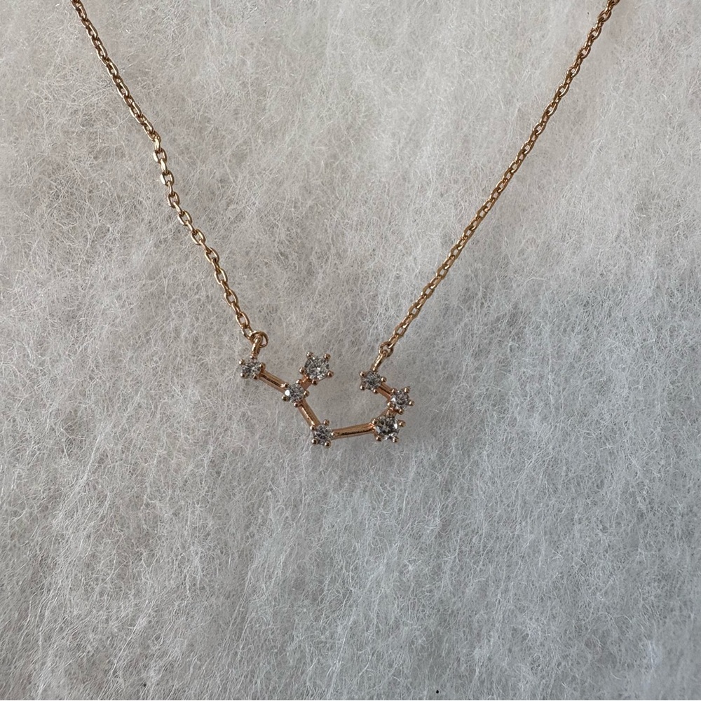 Bearfruit Jewelry Constellation Necklace in Rose Gold - Sagittarius - Picture 10 of 11